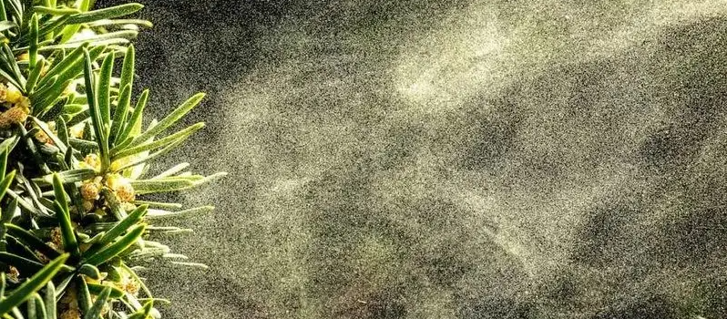 1650596073907540.png